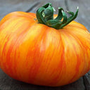 'Fairytale' Tomato Seeds, 5 Seeds