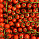 892 Sweet Million Hybrid Cherry Tomato, 5 Seeds