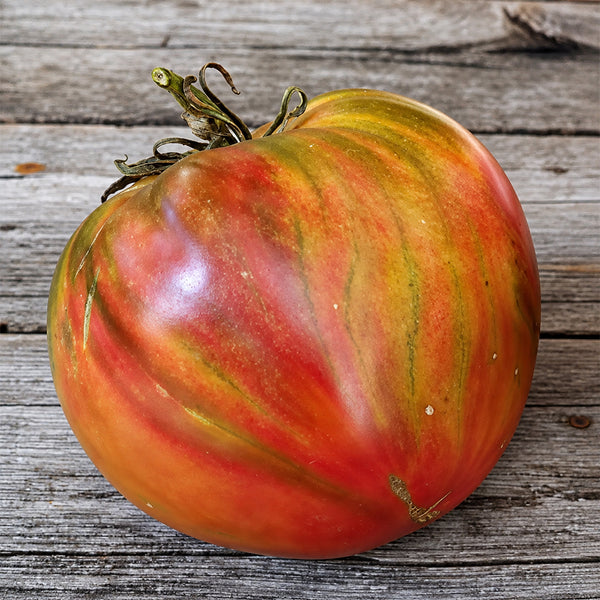 273 True Colors Tomato, 5 Seeds