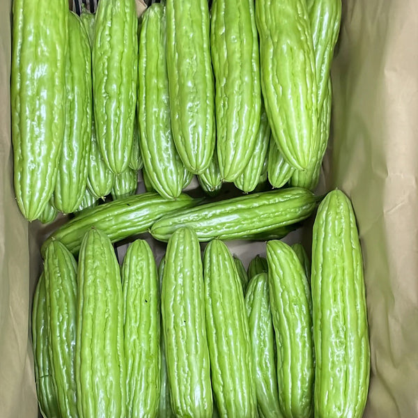 Jiemei No.5 Bitter Gourd, 50 Seeds