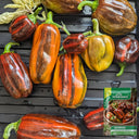 Rainbow Candy Sweet Pepper, 20~30 Seeds