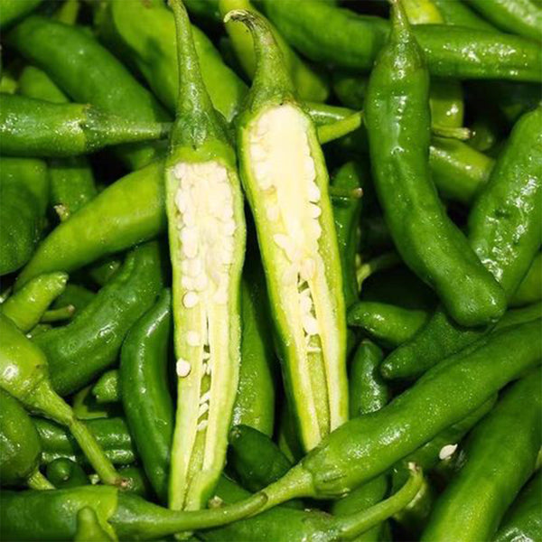 Zhangshugang Chili Pepper Seeds, 30 Seeds