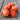 297 Perth Pride Dwarf Tomato, 5 Seeds