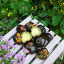 267 Cantati 17 Ocher Tomato, 5 Seeds