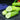 'Superior' Classic Fruit Cucumber Seeds, 3g