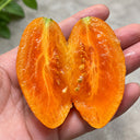 110 Blush 2.0 Tomato, 3 Seeds