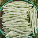 Bai Fumei Pole Bean Seeds, 200g