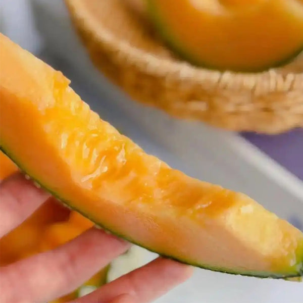 Maiour Melon Hybird F1 Seeds, 10 Seeds