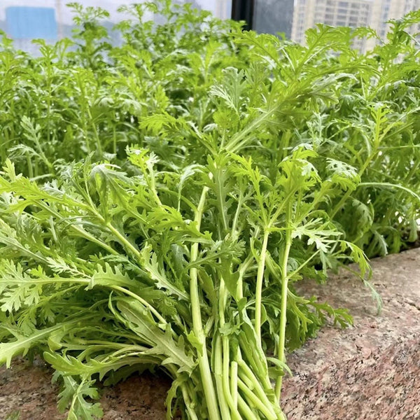 'Emperor's Vegetable' Seeds, 10g