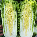'Jinqi No.5' Chinese Cabbage Seeds, 5g