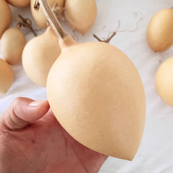Peach Shaped Gourd, 10 Seeds