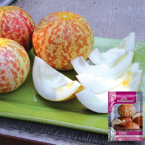 Tiger Melon, 10-15 Seeds