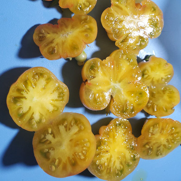 Dean's Chickie Cherry Tomato Seeds, 5 Seeds