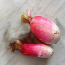 Sweet Pear' Radish Seeds, 10g