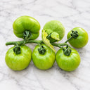 U2613 Green Persimmon Tomato, 100 Seeds