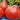 775 Reinhard's Purple Heart Tomato, 5 Seeds