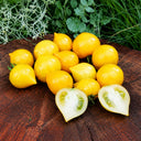 21 Lil' Peeps Micro Dwarf Tomato, 4 Seeds