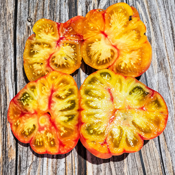 559 Oaxacan Jewel Tomato, 5 Seeds