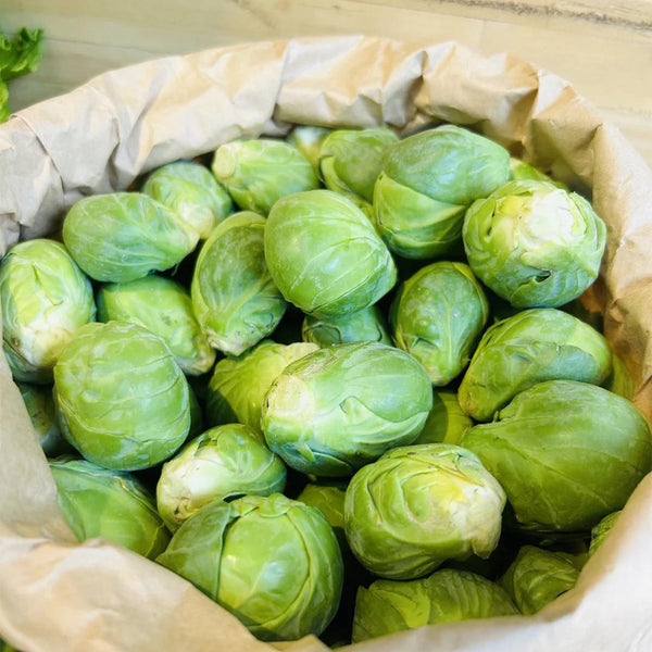 Brussels Sprouts Seeds, 50 Seeds