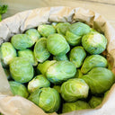 Brussels Sprouts Seeds, 50 Seeds