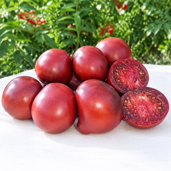 111 Purple Strawberry Tomato, 5 Seeds