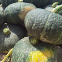 'Yi Nong Jin Li' Pumpkin Seeds, 10g