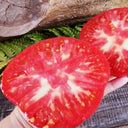 712 Dora Giant Tomato, 5 Seeds