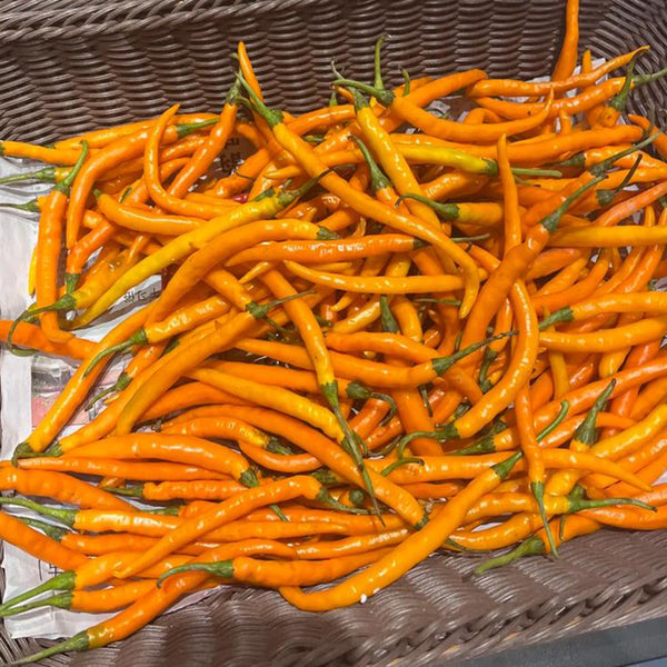 Yellow Spicy Girl Line Pepper Seeds, 2g