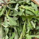 Jiliqingfeng Wild Qumai Chicory Seeds, 2g