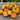 126 Dwarf Uluru Ochre Tomato, 5 Seeds