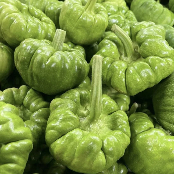 Qihe Agriculture Jiangbing Pumpkin, 50 Seeds