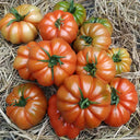 'Dongfanghong' Tomato Seeds, 10 Seeds