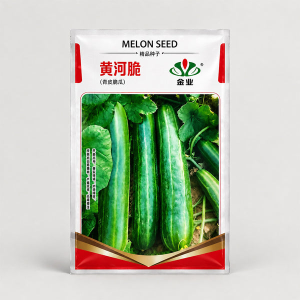 U2617 Huanghe Crisp Vegetable Melon, 200 Seeds