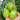 Kiwi Tomato, 100 Seeds