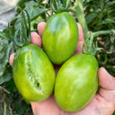 Kiwi Tomato, 100 Seeds
