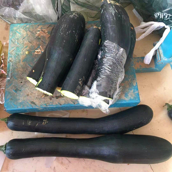 Zhengqing No.1 Black-skinned Pumpkin, 10 Seeds