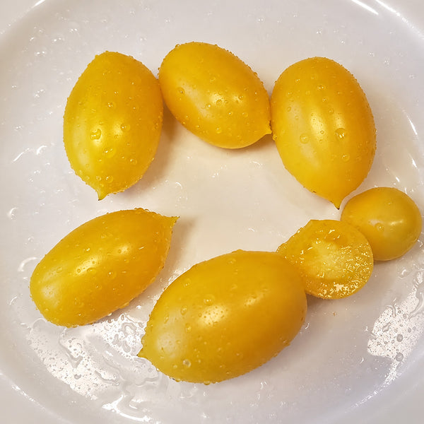234 Banana Singapore Cream Tomato, 5 Seeds