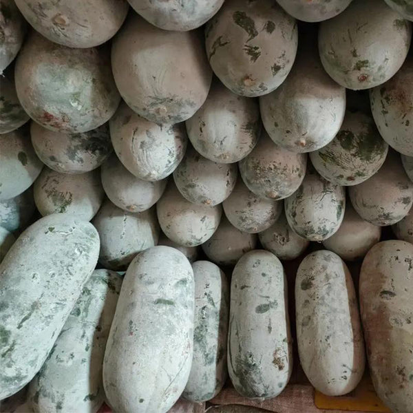 Fenbailong Wax Gourd Seeds, 20 Seeds