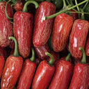 Sausage Pepper Seeds, 0.3g