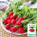 Cherry Radish Seeds, 10g