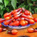 597 Indigo Pear Drops Pink Tomato, 5 Seeds