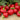 Red Hot Cherry Pepper, 15 Seeds