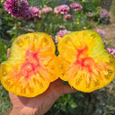 918 Orange Caramel Tomato, 5 Seeds