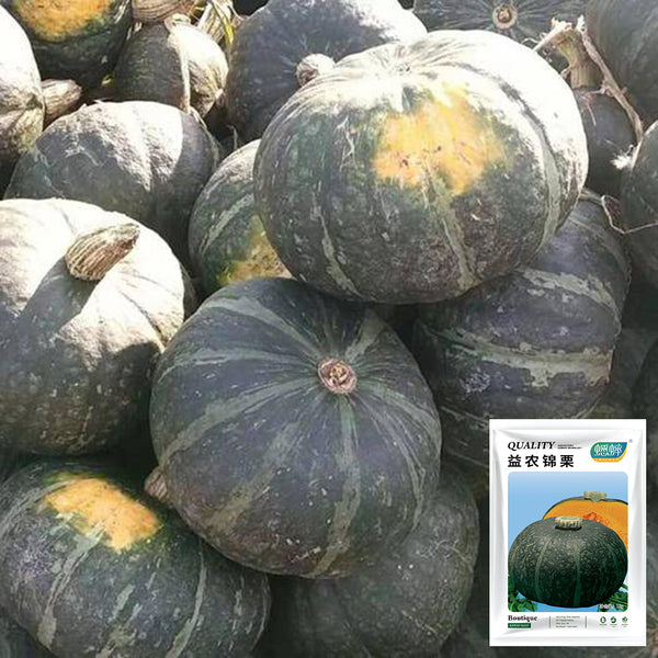 'Yi Nong Jin Li' Pumpkin Seeds, 10g