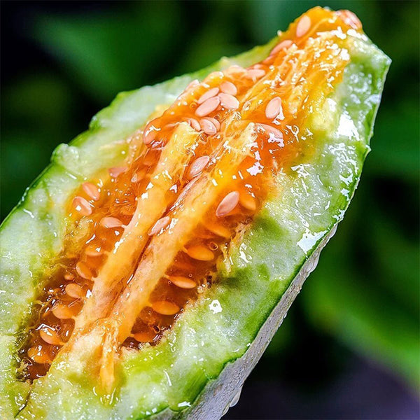 Goat Horn Crispy Melon Seeds, 2g
