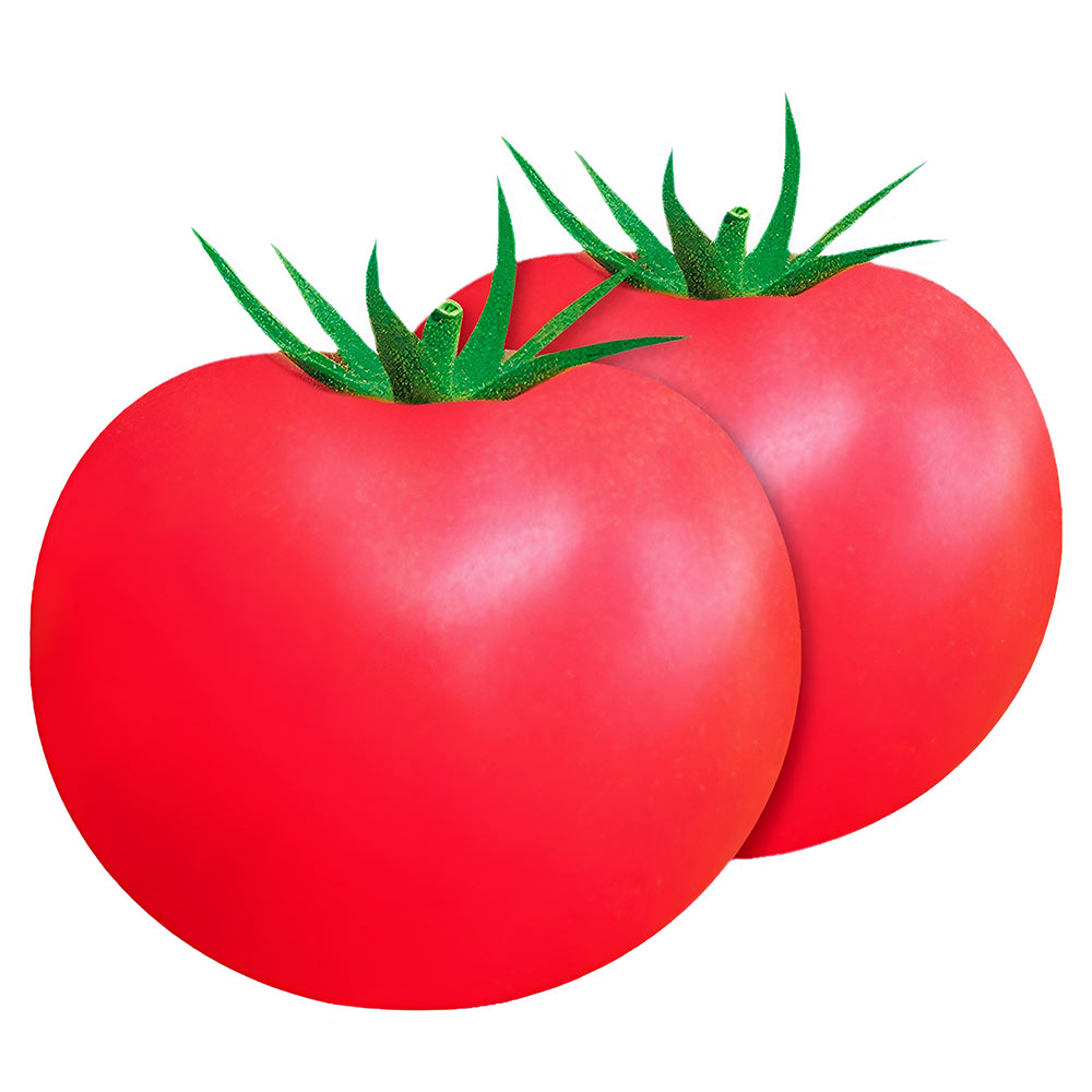 'China Veggies No.4' Tomato