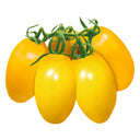 'Radiant Gold' Yellow Tomato Seeds