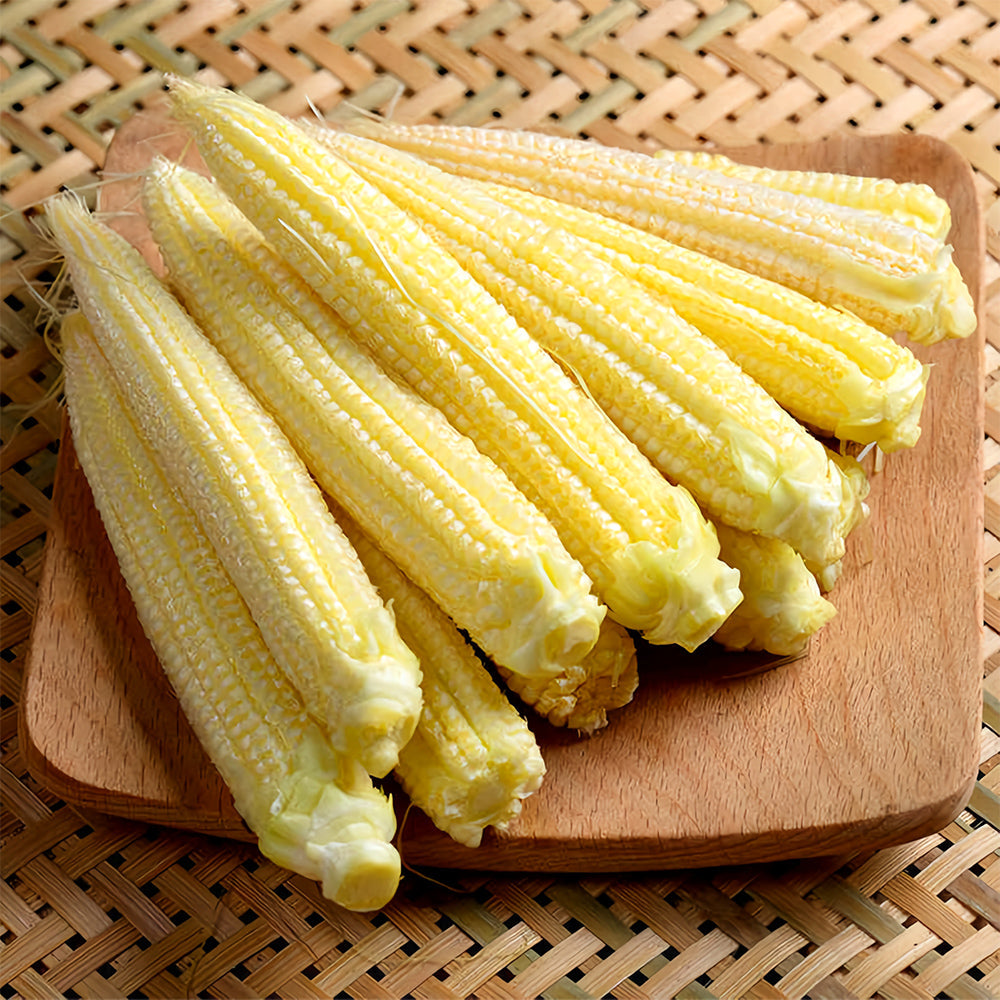 F1 Sweet Baby Corn Seeds, Pkt of 50