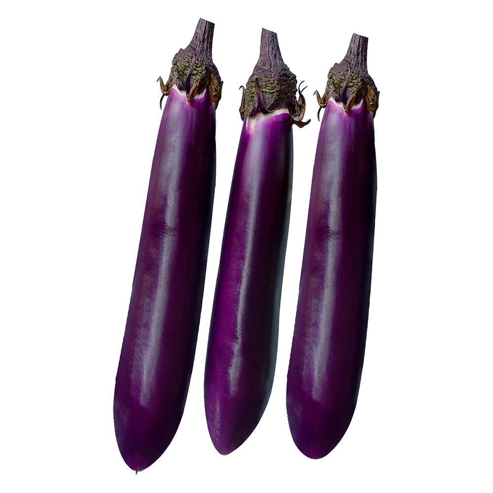 'Purple Dragon' Long Eggplant Seeds