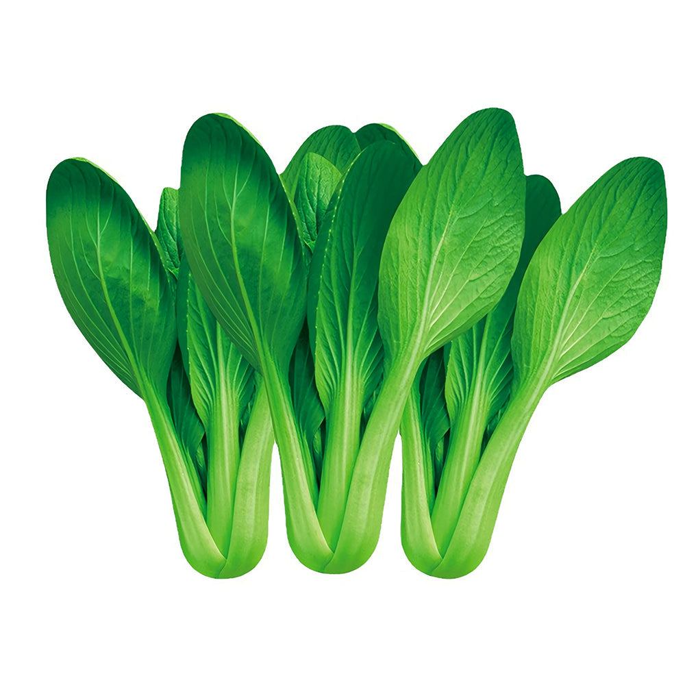 Jingyan Organic Pak Choi